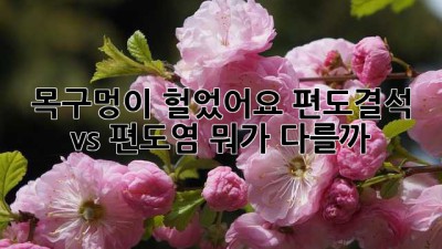 목구멍이 헐었어요? 편도결석 vs 편도염, 뭐가 다를까?