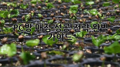 PC방 매점 성공 전략: 완벽 가이드
