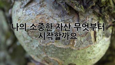 나의 소중한 자산, 무엇부터 시작할까요?