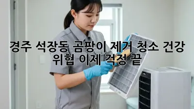 경주 석장동 곰팡이 제거 청소: 건강 위협, 이제 걱정 끝!